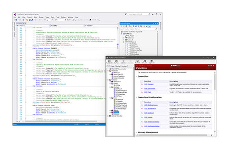 Peak Systems PCAN-CCP API data view