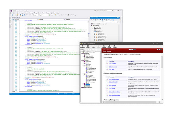 Peak Systems PCAN-CCP API data view